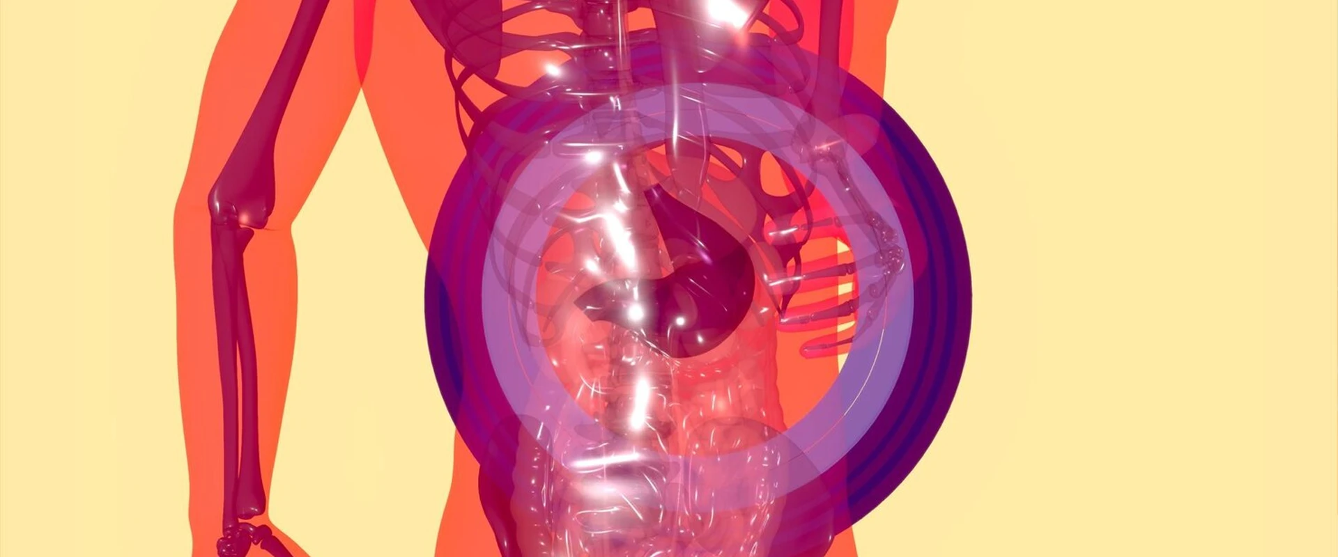 Endoskopik Tüp Mide